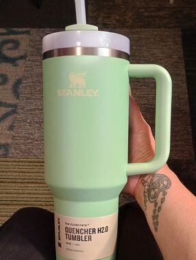 Stanley Mint Green Travel Tumbler with Handle. Set of Stanley Tumbler Straws.